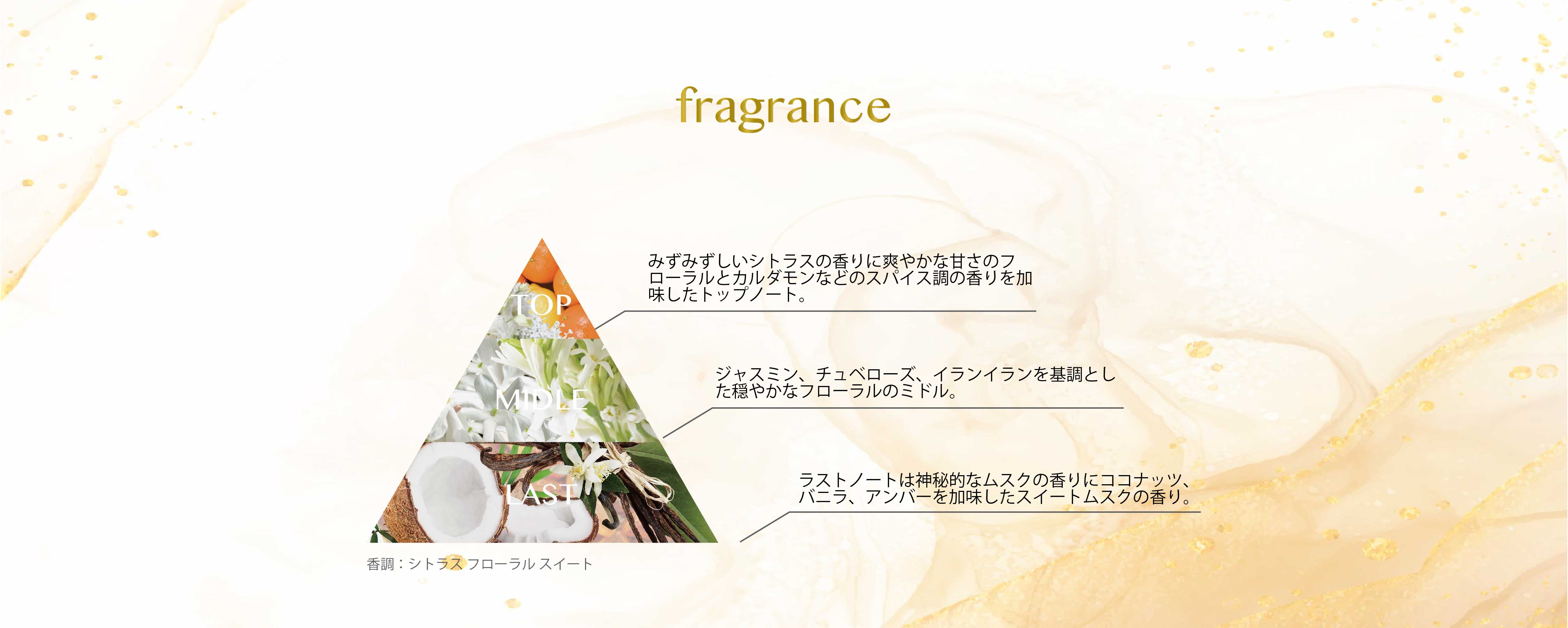 umu with royface 香りの三角　香りの紹介　pc